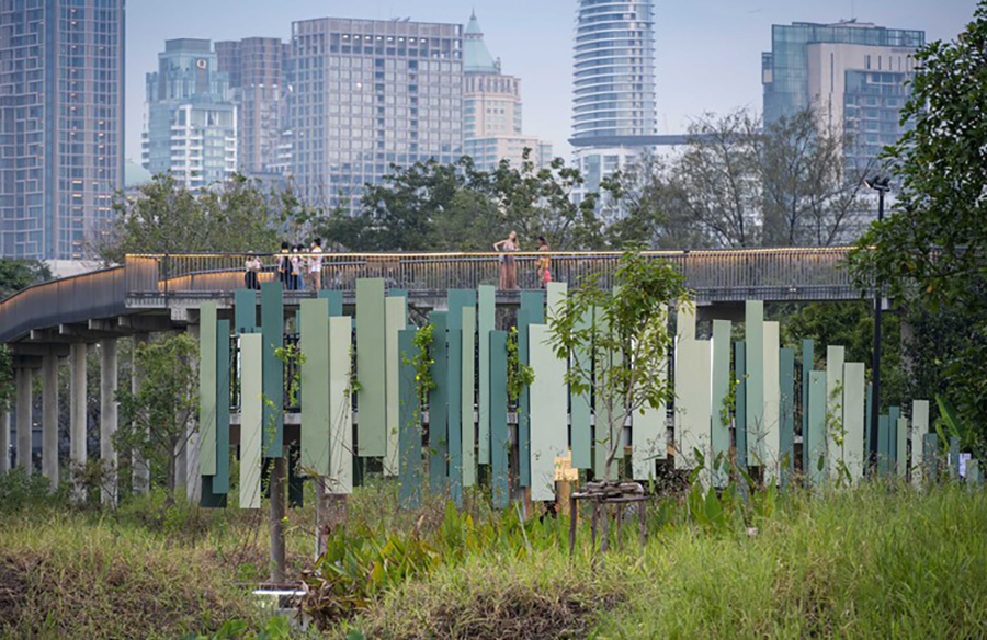 Enhancing Bangkok’s Green Spaces: Benchakitti Rain Forest Observatory