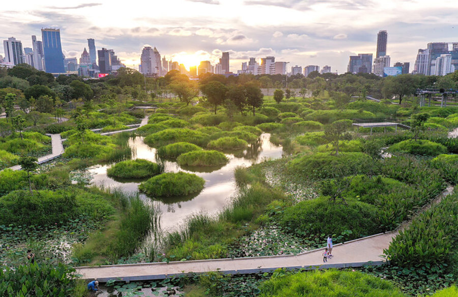 Benjakitti Forest Park: A Holistic Ecosystem in Bangkok