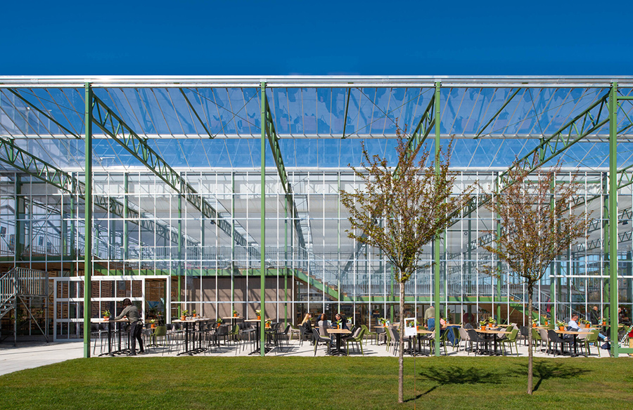 The Green House: A Horticultural Icon