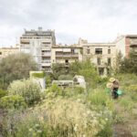 Sustainable Renovation of Barcelona Duplex-sheet5