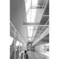 Leopoldo Pilla School by TARI-Architects